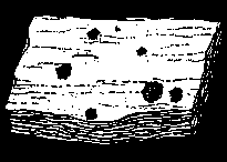 Схематическое изображение полосчатой структуры