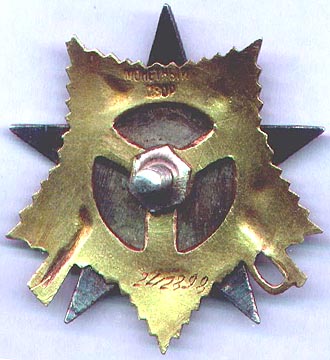 Разновидности ордена Отечественной Войны I степени: Тип 2, Вариант 3